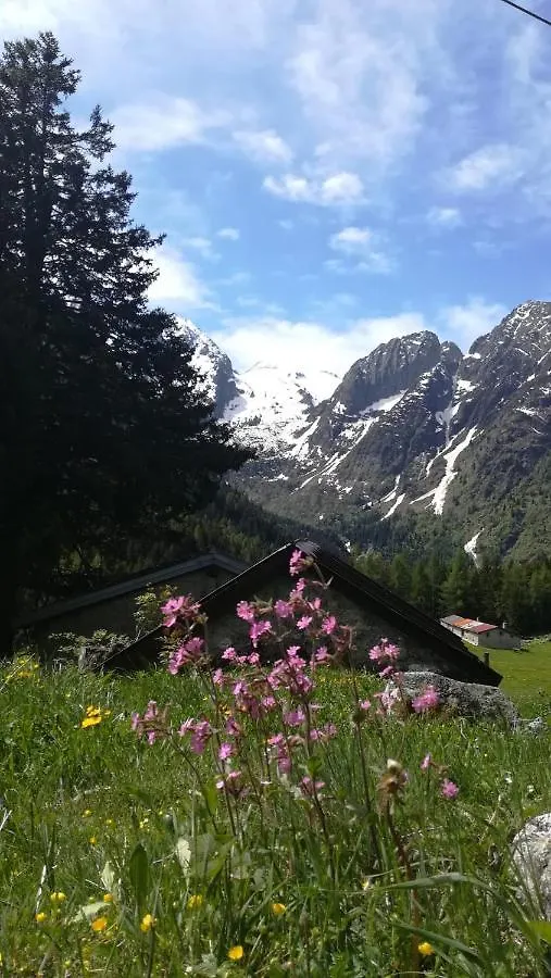 Solimmo Temu 0*,  Italy